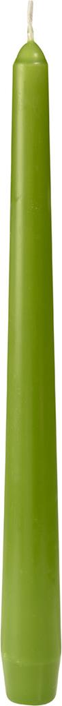 Leuchterkerzen 7h leaf green, 250 x22 Ø cm