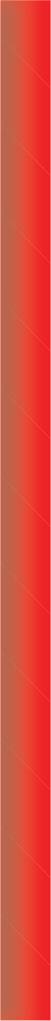 Papier  Papiertrinkhalm  Basic rot Ø 8 mm / 150 mm