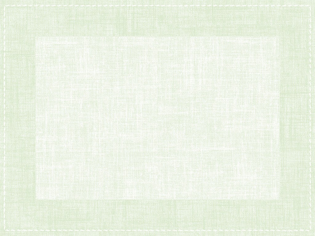 Vlies  Tischsets Zione salbei 40 x 30 cm