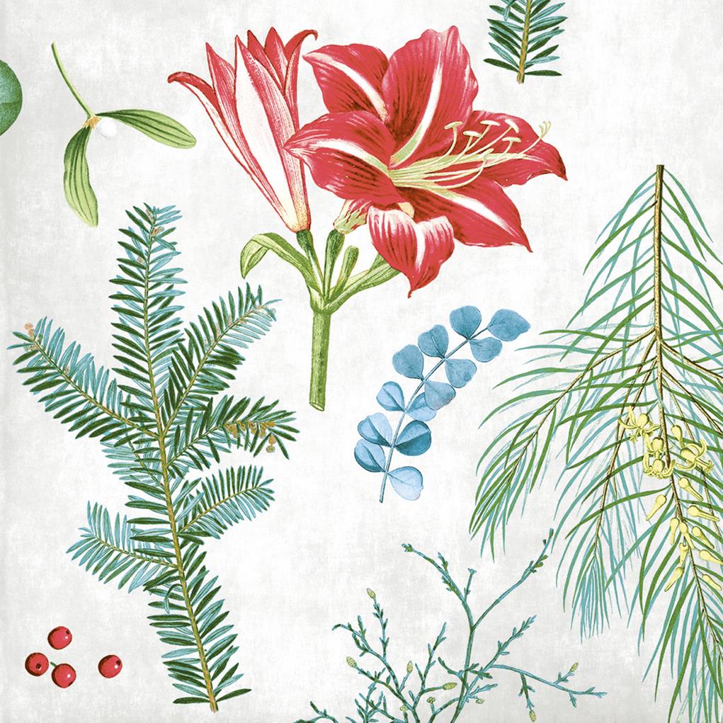 Linclass-Premium Serviette  Amaryllis 40 x 40 cm 1/4 Falz