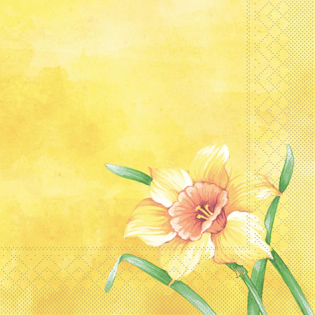 Tissue 3-lagig  Serviette  Elvira 40 x 40 cm 1/4 Falz