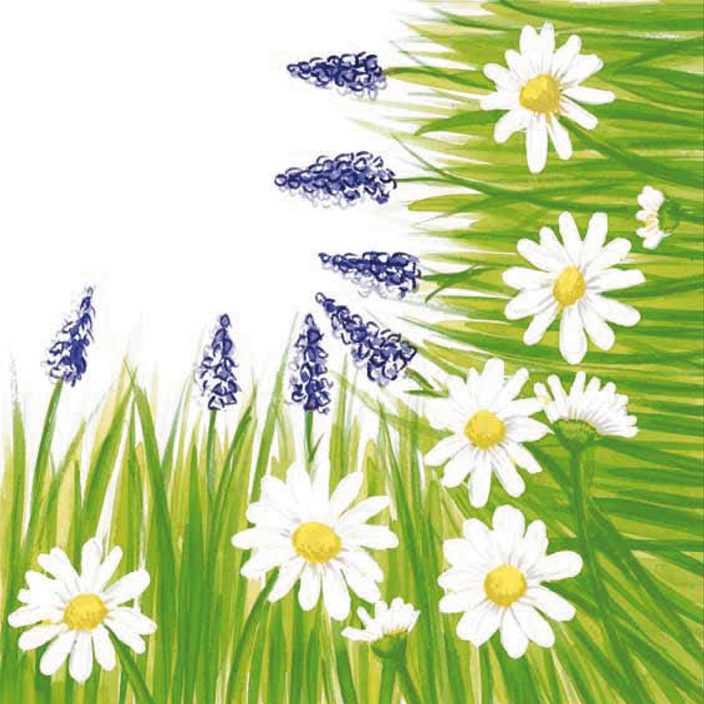 Linclass Serviette Nele 40 x 40 cm 1/4 Falz