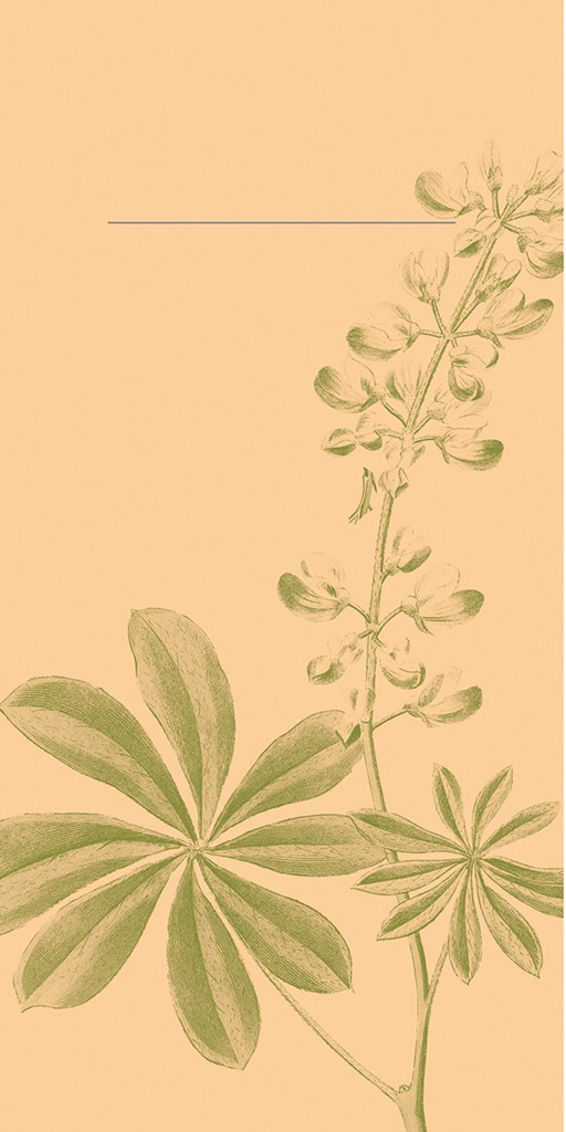 Linclass-Pur Pocket-Nap. Opus flora 40 x 40 cm 1/8 Falz