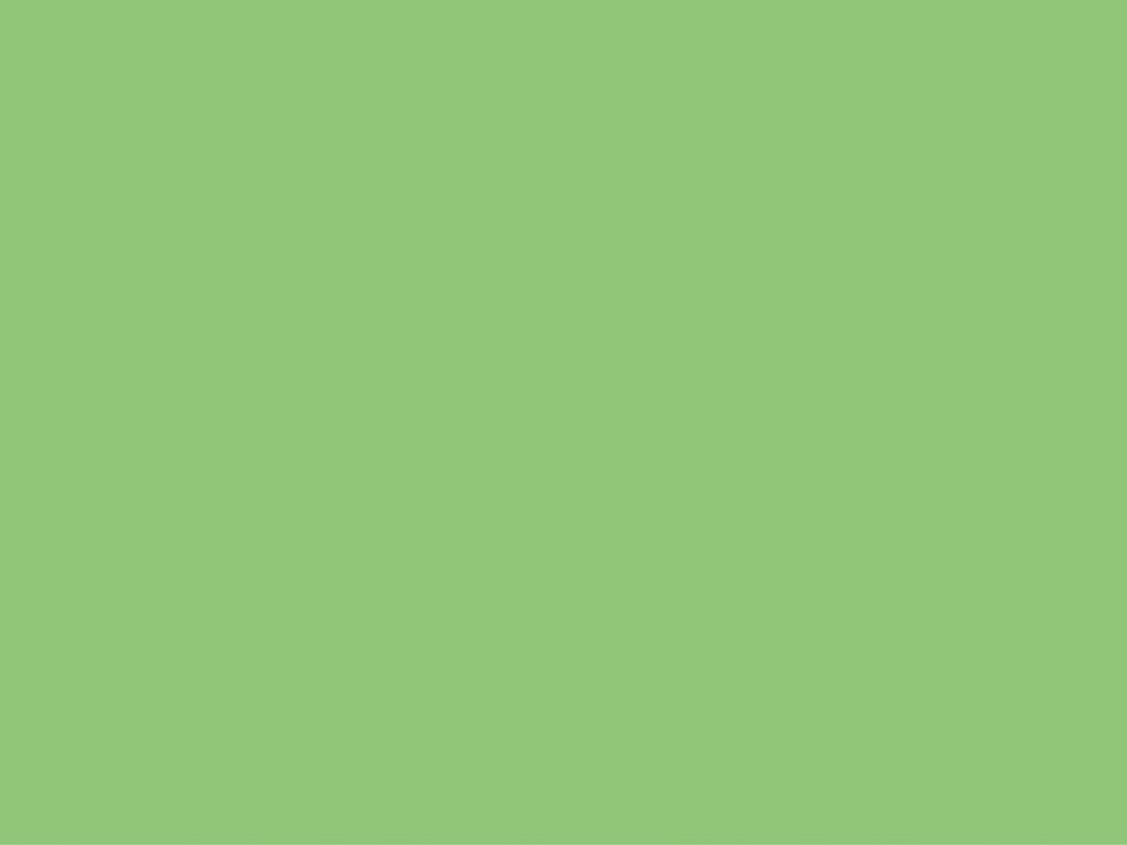 Airlaid-Tischsets Basic apfelgrün / appl 40 x 30 cm