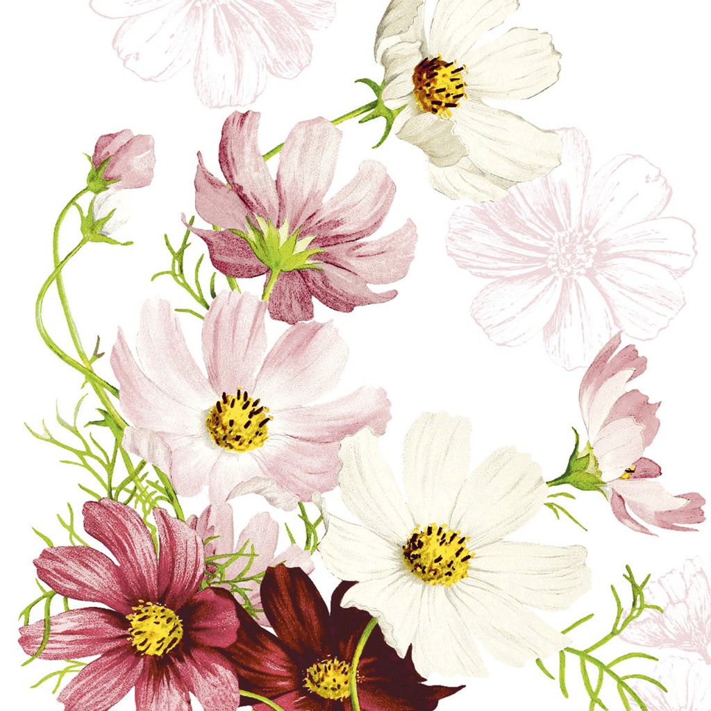 Linclass Serviette Cosmea 40 x 40 cm 1/4 Falz