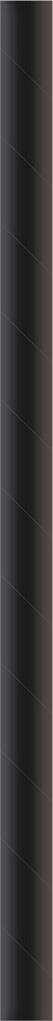 Papier  Papiertrinkhalm  Basic schwarz Ø 8 mm / 200 mm