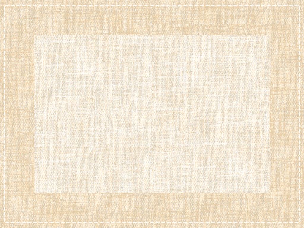 Vlies  Tischsets Zione braun 40 x 30 cm