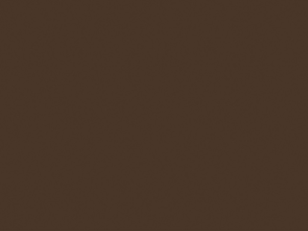 Linclass Tischsets Basic braun 40 x 30 cm