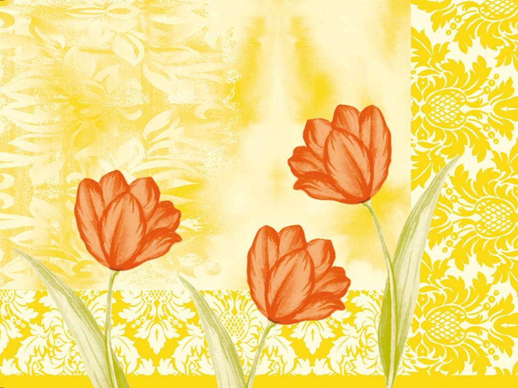 Linclass Tischsets Sally 40 x 30 cm