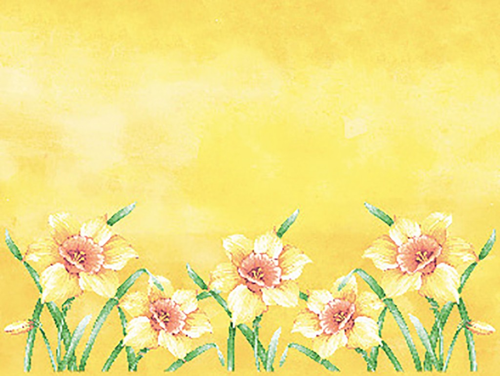 Linclass Tischsets Elvira 40 x 30 cm