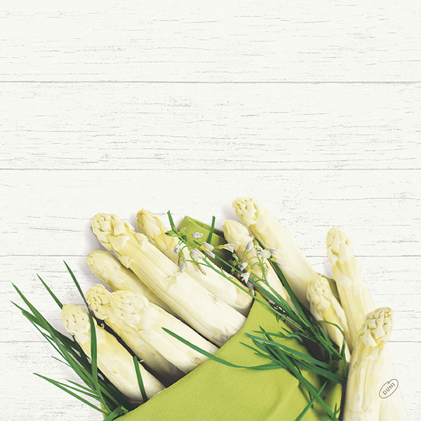 Bio-Dunisoft-Servietten 1/4 Falz White Asparagus, 40x40cm