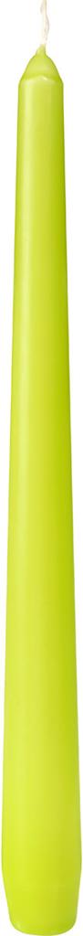Leuchterkerzen 7h kiwi, 250 x22 Ø cm