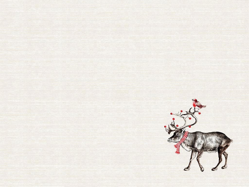 Linclass Tischsets  Knut 40 x 30 cm