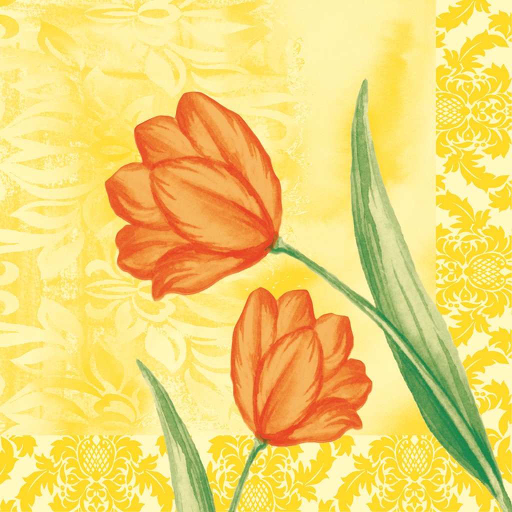 Linclass Serviette Sally 40 x 40 cm 1/4 Falz