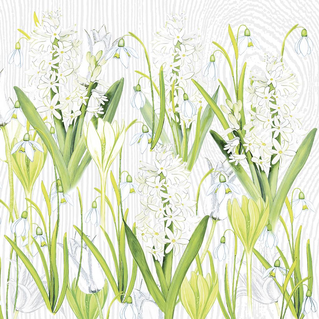 Linclass-Premium Serviette  Amelie 40 x 40 cm 1/4 Falz