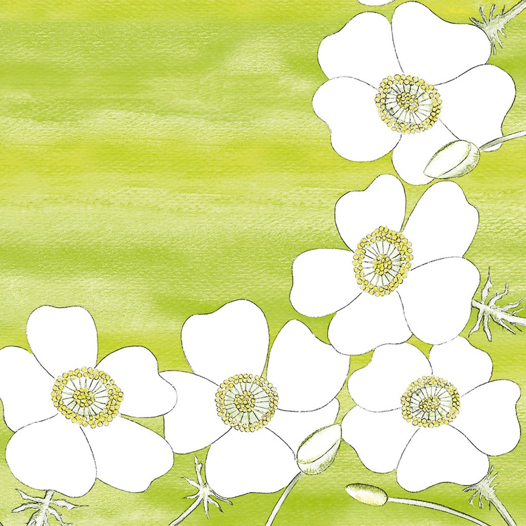 Linclass-Premium Serviette  Gudrun 40 x 40 cm 1/4 Falz