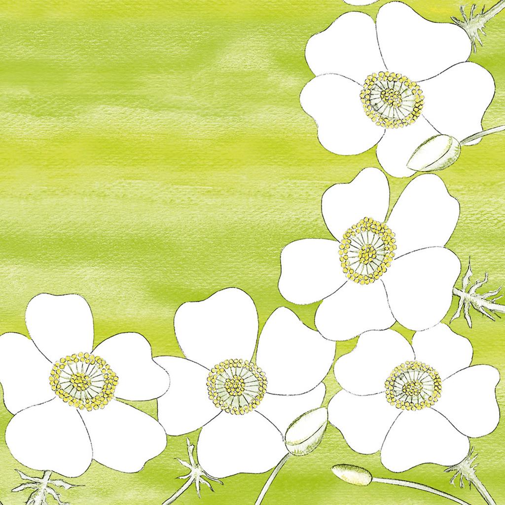 Linclass-Premium Serviette  Gudrun 40 x 40 cm 1/4 Falz