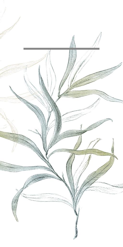 Linclass Pocket-Napkins Nala 40 x 40 cm 1/8 Falz