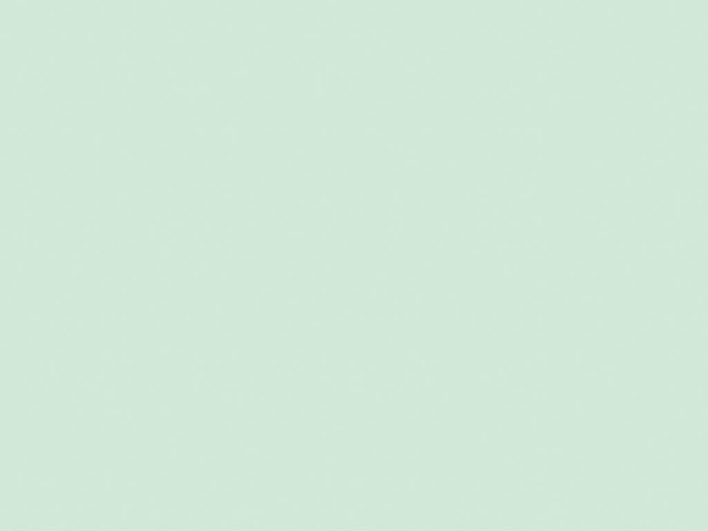 Linclass Tischsets Basic pistazie 40 x 30 cm