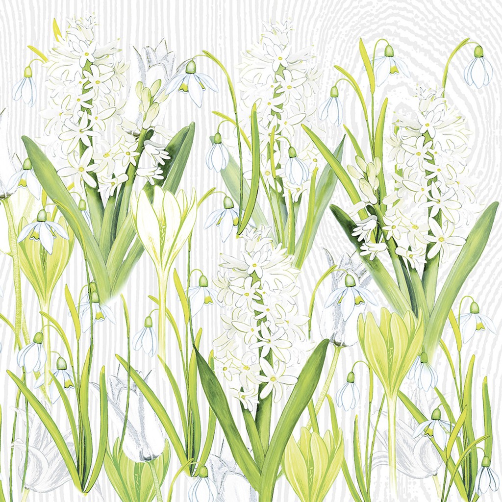 Linclass Serviette Amelie 40 x 40 cm 1/4 Falz