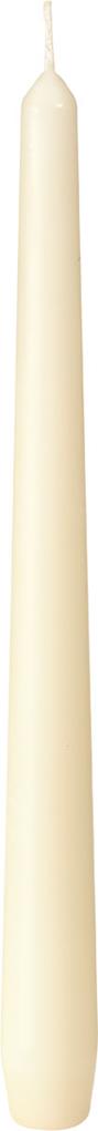 Leuchterkerzen 7h cream, 250 x22 Ø cm