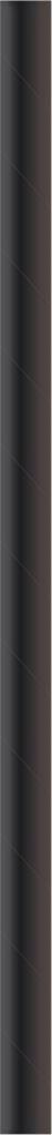Papier Papiertrinkhalm Basic schwarz Ø 8 mm / 230 mm 24x150