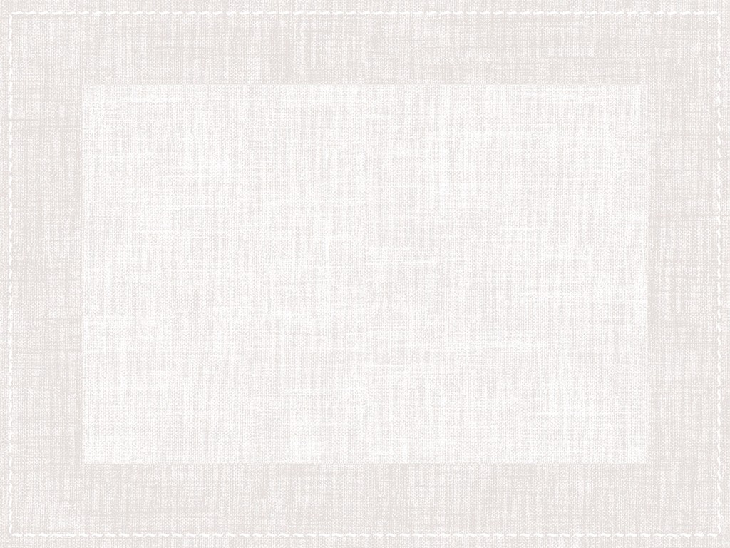 Vlies  Tischsets Zione grau 40 x 30 cm