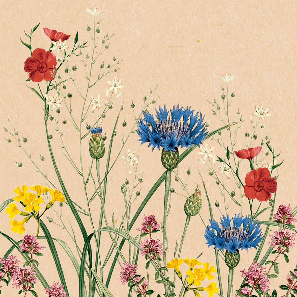 Tissue Serviette Edith 40 x 40 cm 1/4 Falz 3-lg