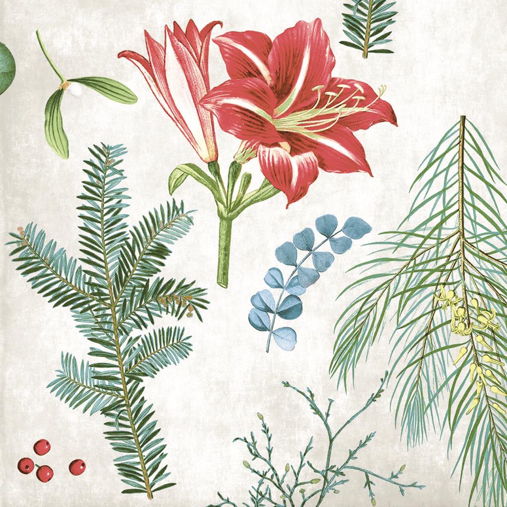 Linclass-Premium Serviette  Amaryllis 40 x 40 cm 1/4 Falz