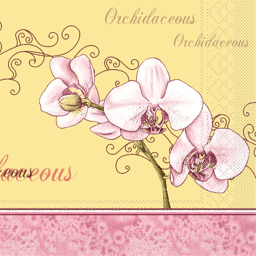 Tissue Serviette Orchidee 40 x 40 cm 1/4 Falz 3-lg.