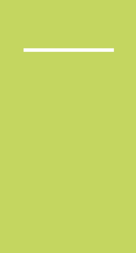 Linclass-Prof. Pocket-Nap. Basic lime 40 x 33 cm 1/8 Falz