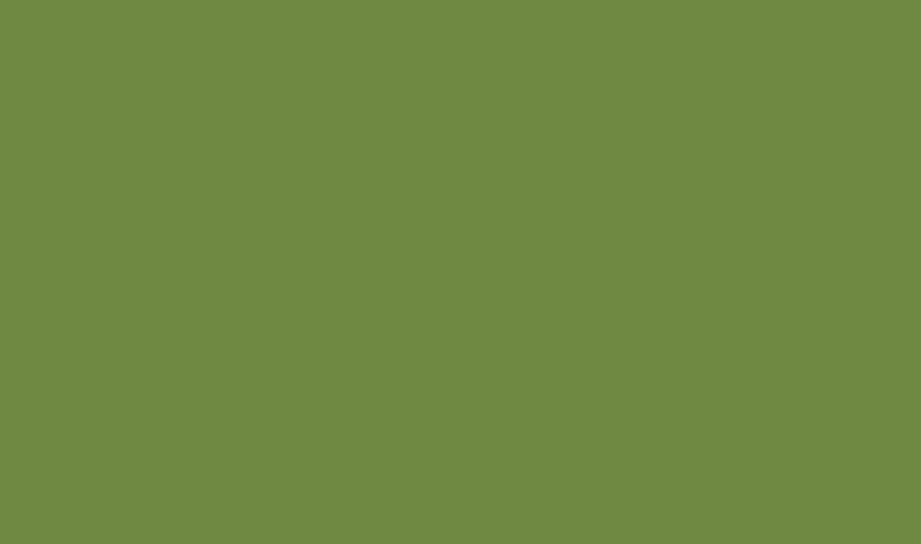 Zelltuchservietten 3 lg 1/8 Falz leaf green, 33x33cm