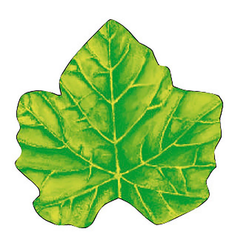 Saugstoff Deckchen Weinblatt 120 mm 1x1000