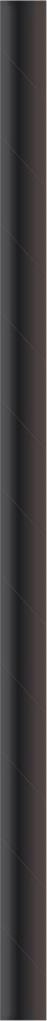 Papier  Papiertrinkhalm  Basic schwarz Ø 8 mm / 230 mm