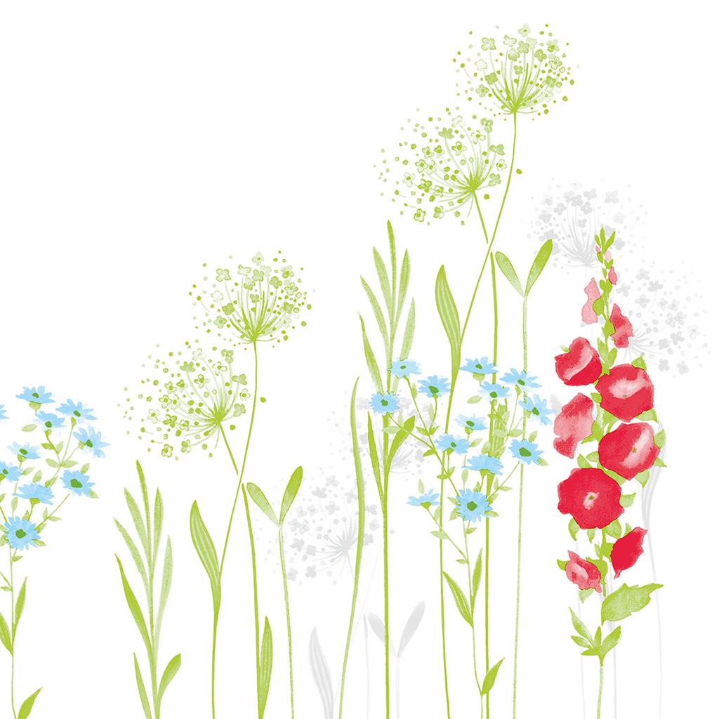 Linclass-Premium Serviette  Milli 40 x 40 cm 1/4 Falz