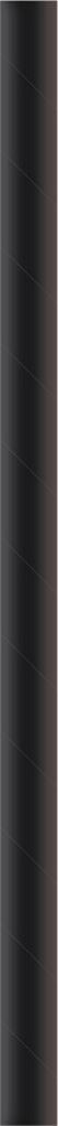 Papier  Papiertrinkhalm  Basic schwarz Ø 8 mm / 200 mm