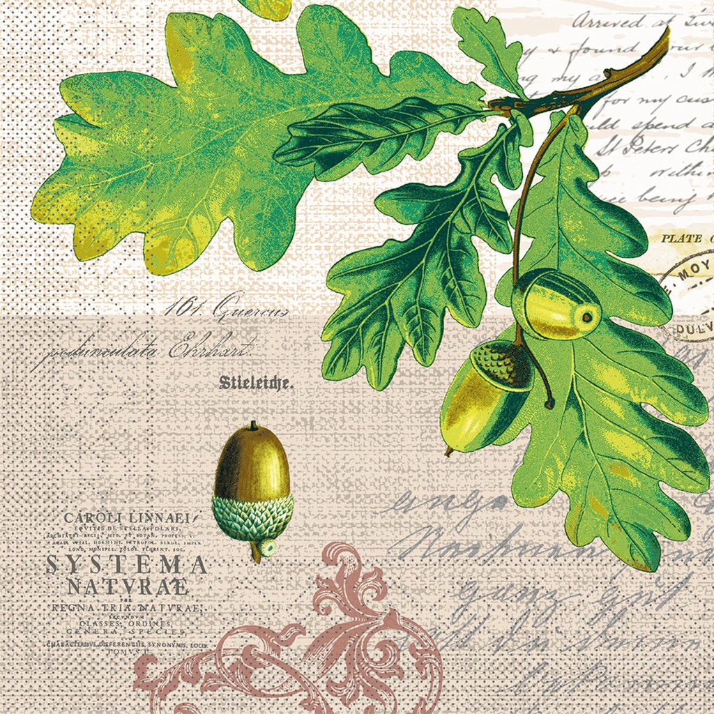 Tissue 3-lg Serviette Simon 40 x 40 cm 1/4 Falz