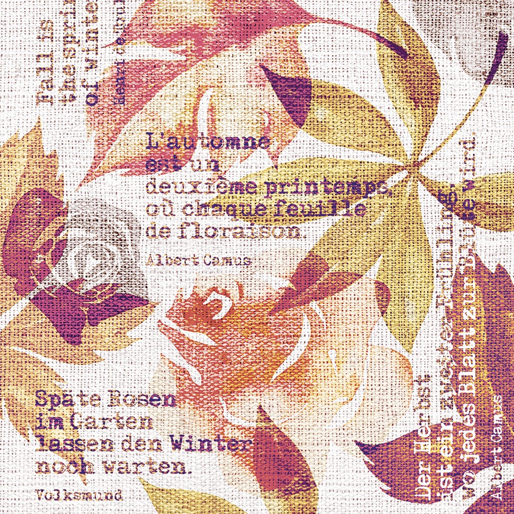 Linclass Serviette Gunnar 40 x 40 cm 1/4 Falz