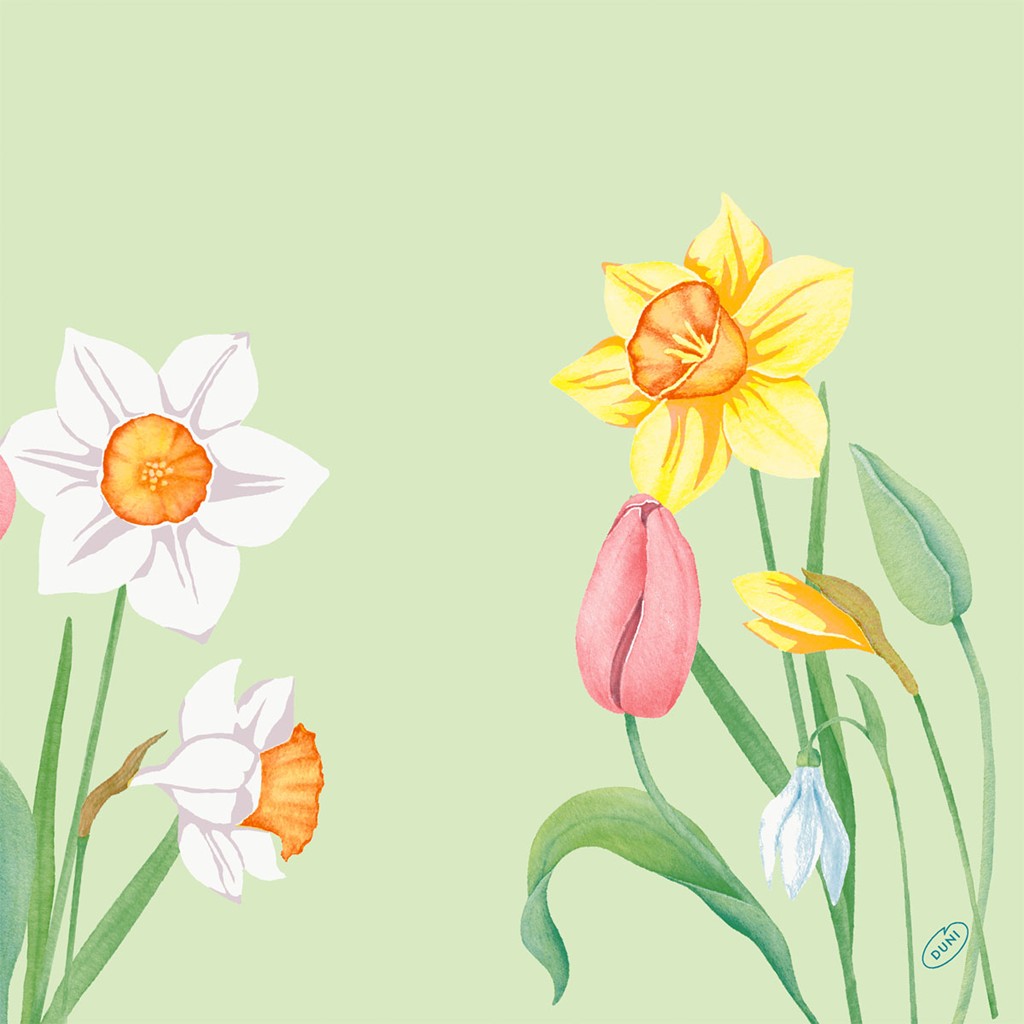 Klassikservietten Spring Melody 40 x 40 cm, 4-lagig, geprägt 1/4 Falz